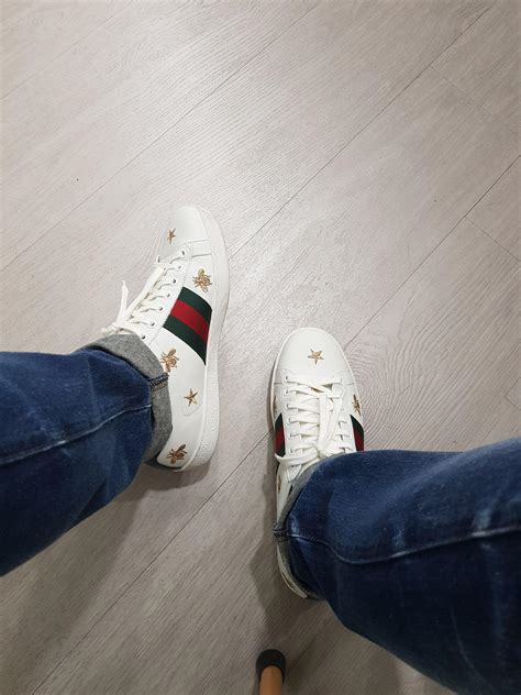 fisherman gucci ace reddit